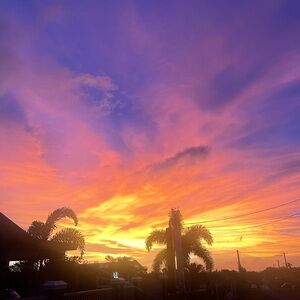 Meet your Posher, Aleeza